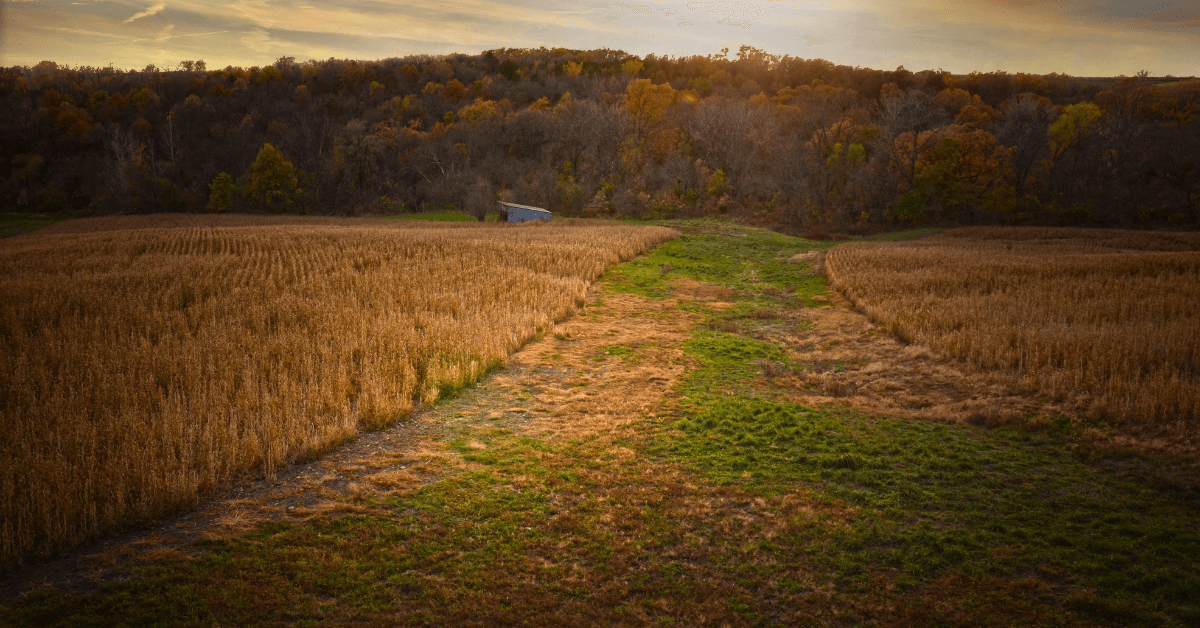 Featured Image for A Partnership Can Get You The Land!